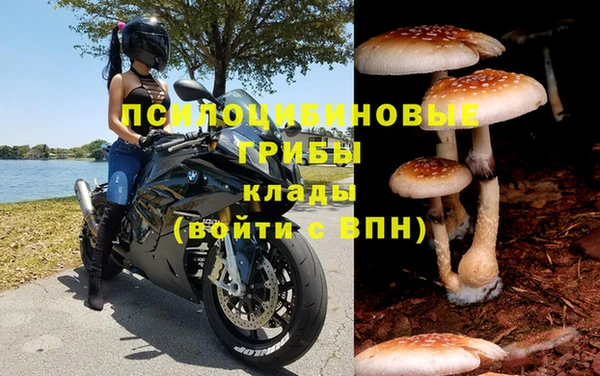 герыч Алексин