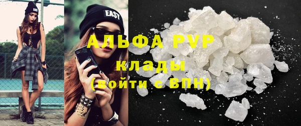 СК Алзамай