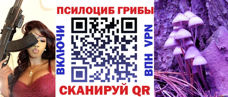 ссылка на мегу зеркало  Беслан  Галлюциногенные грибы Psilocybe  где купить наркоту 