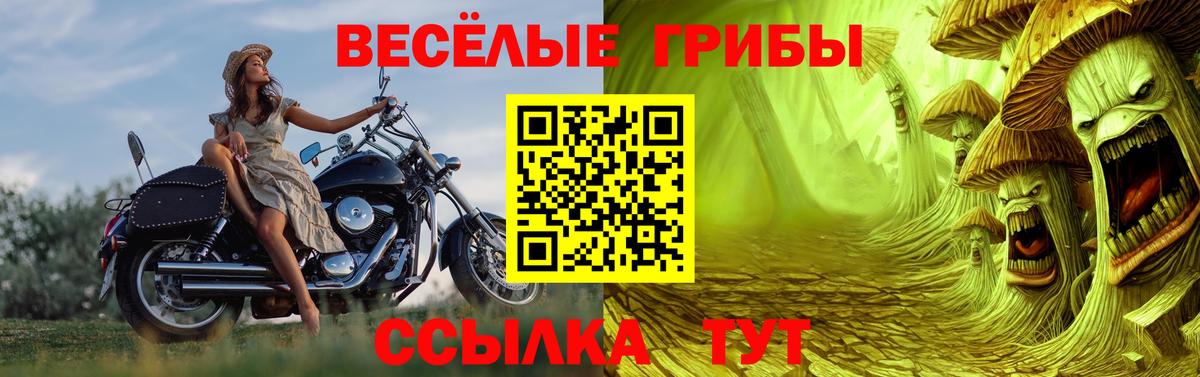 Псилоцибиновые грибы прущие грибы Беслан