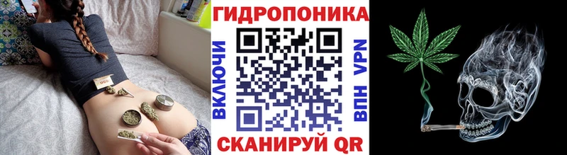 продажа наркотиков Беслан mega ссылка Конопля Ganja